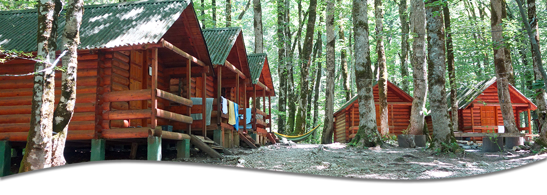 Row of red wooden cabins in a dense green forest, with hammocks and towels on porches.