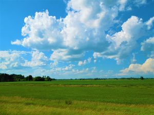 Field In A Rural Area Under Cloudy Blue Sky In Michigan