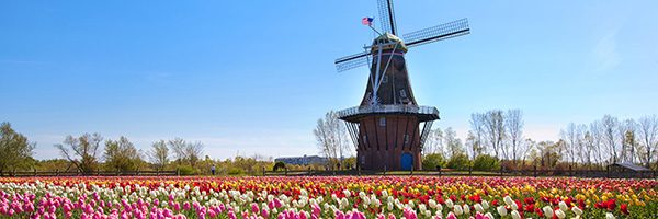 Image Description: Holland windmill with a field of tulips